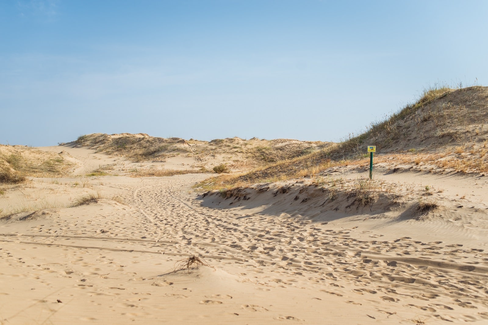 Песчаное экскурсии. Евпатория мыс тарханкут. Олешковские пески под херсоном. Олешковская пустыня на украине. Песчаное экскурсии.