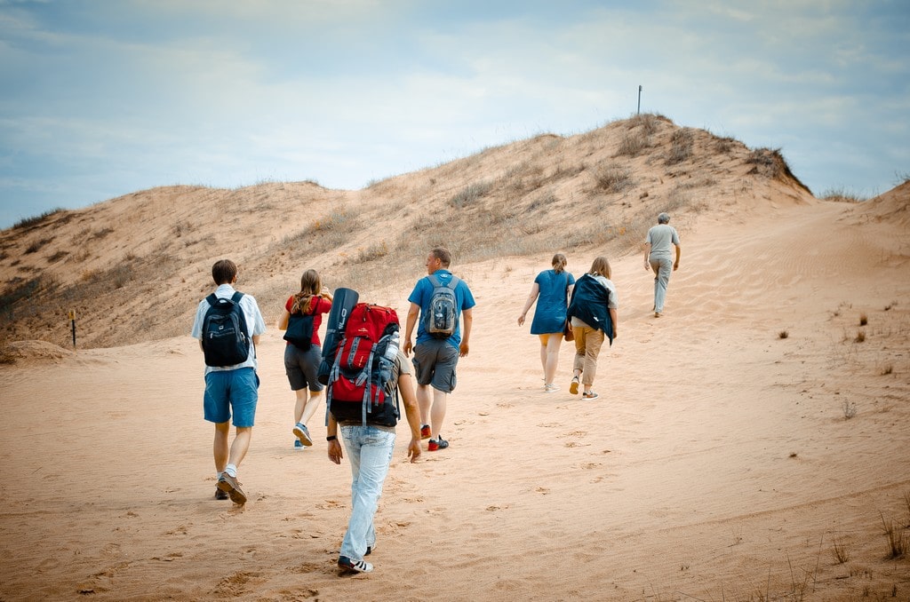 Олешковские пески в херсонской. Мыс тарханкут оленевка. Национальный природный парк олешковские пески. Олешковские пески. Олешковские пески в херсонской области.