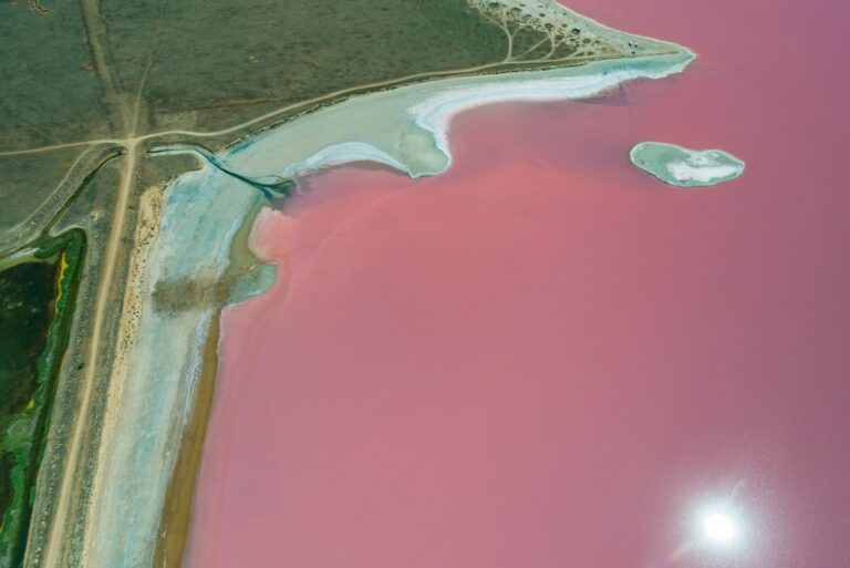 Розовое озеро Сиваш
