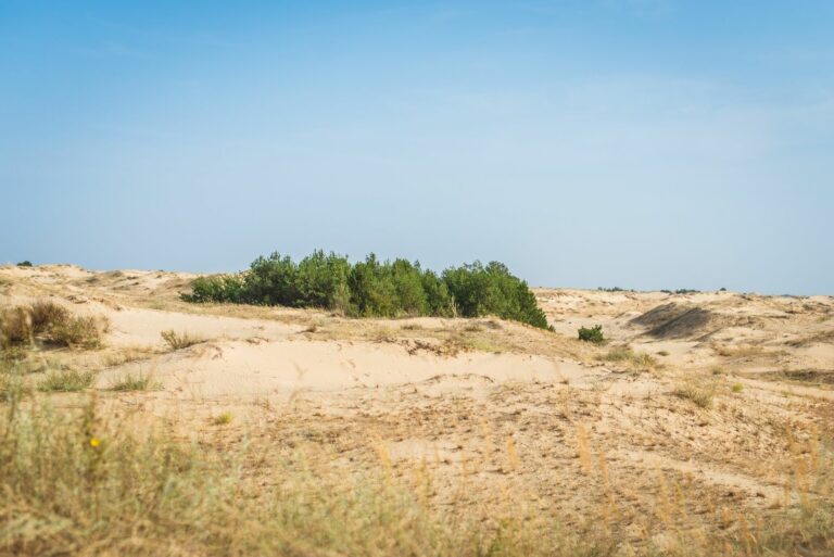 Олешковские пески, Херсонская область
