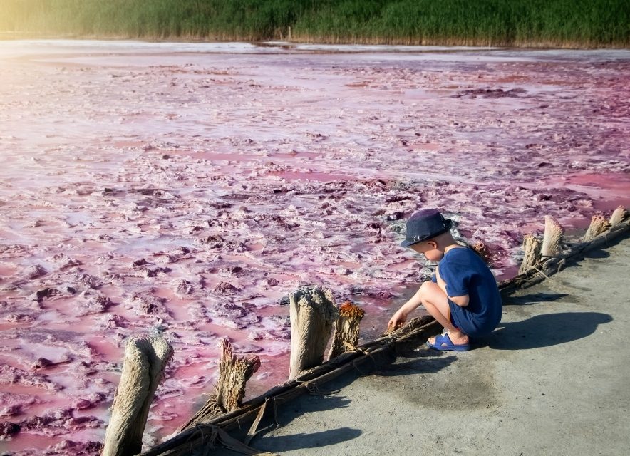 Розовое озеро Сиваш и ребенок