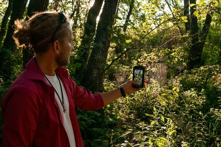 Реликтовый лес