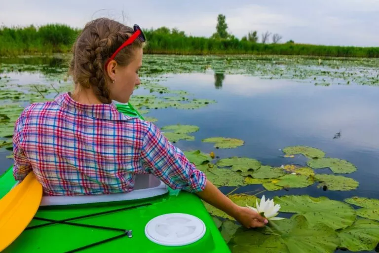 Водяная лилия