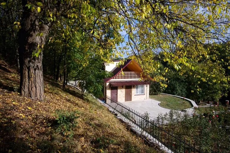 В усадьбе «Звенигород» летом