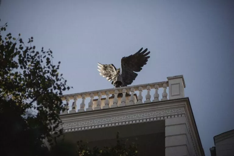 Орел на одному з будинків Херсона