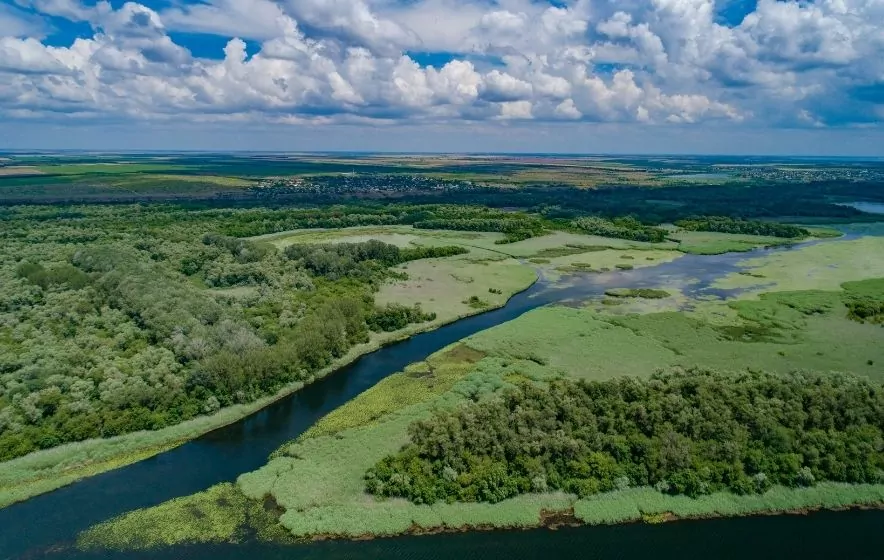Плавні Дніпра в Херсоні