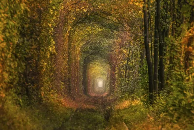 Тоннель в начале осени