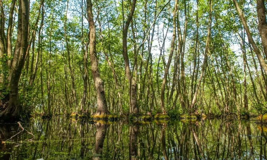 Красота этих мест