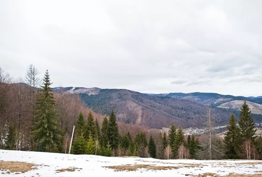Карпаты, Украина