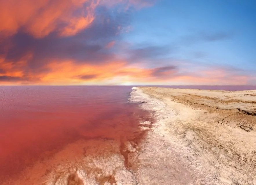 Рожеве озеро Сиваш