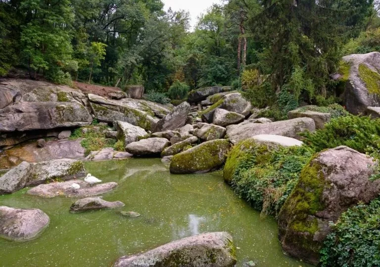 Камни в парке