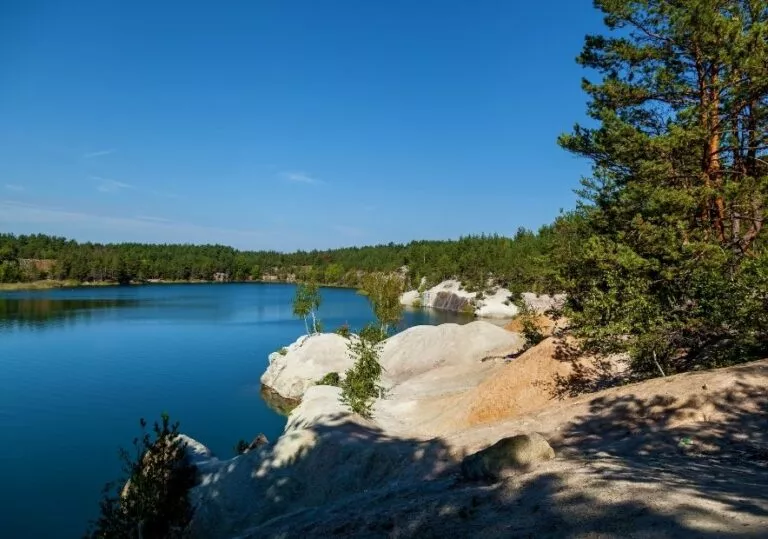 Карьер и сосны