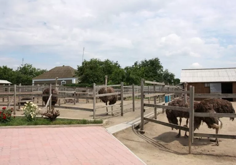 Туристические тропы