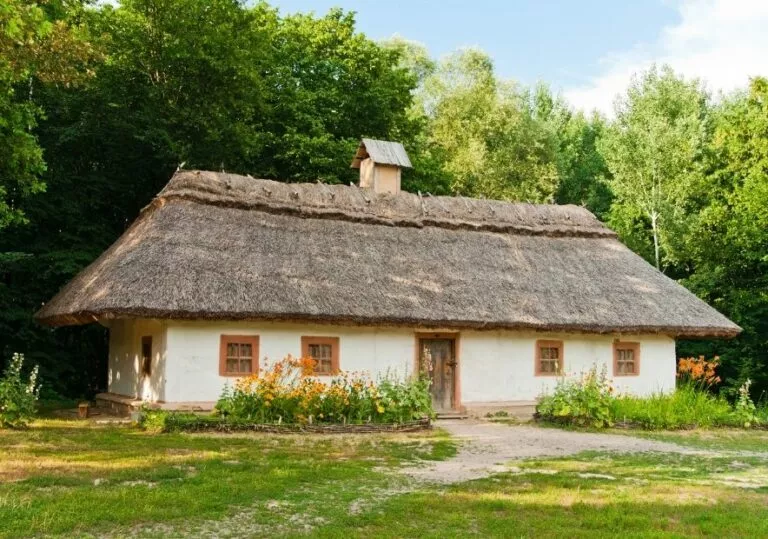 Хата в селе